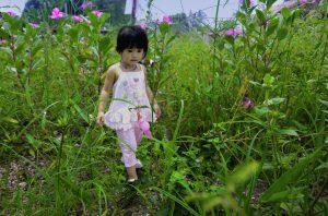 Toddler in field of flowers